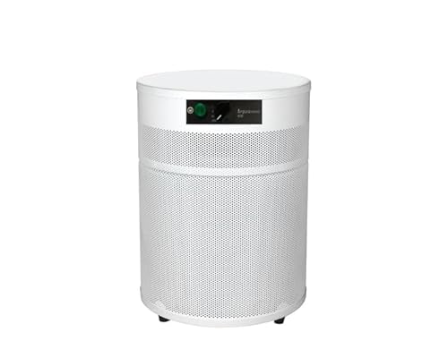 V400 Air Purifier for Home - Ideal for Wildfire Smoke Relief