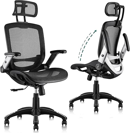 Home Office Chair Showdown: GABRYLLY vs Steelcase Leap
