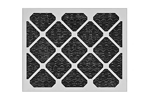 "12-Pack Charcoal Pleated Filters 24x24x2 | TheSafetyHouse"