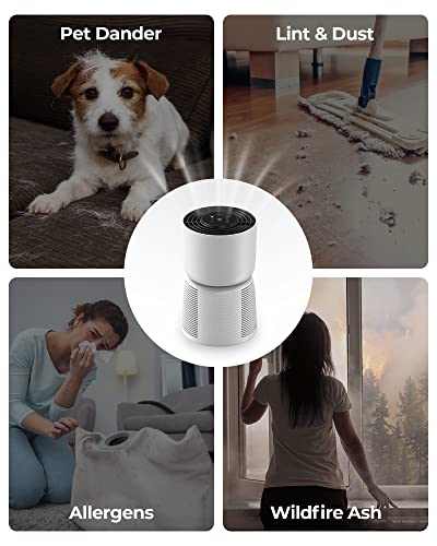 Air Purifier for Hayfever Relief: Homvana H13 HEPA Cleaner - Image 5