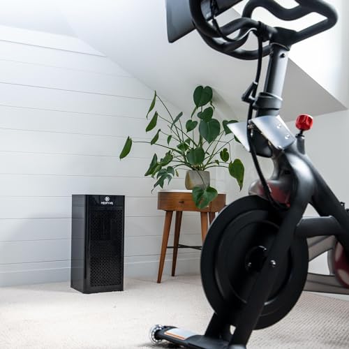 Air Purifier for Cat Allergies | Medify MA-40 True HEPA 2-Pack - Image 9