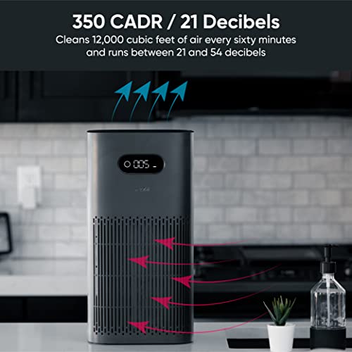 Air Purifier for Hayfever: Wyze with Formaldehyde Filter - Image 2
