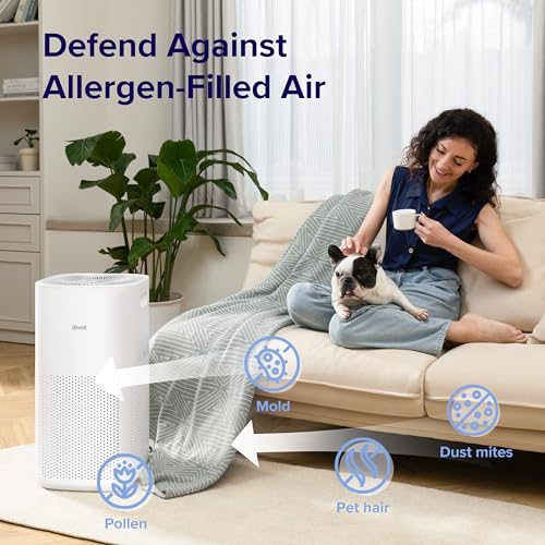 Air Purifier for Large Room: LEVOIT Smart WiFi Models - Image 2