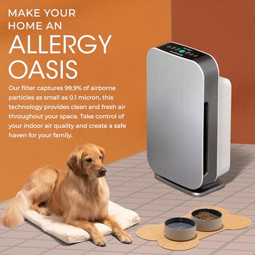 Air Purifier for Dust - Alen BreatheSmart 45i, 1600 Sq. Ft. - Image 5