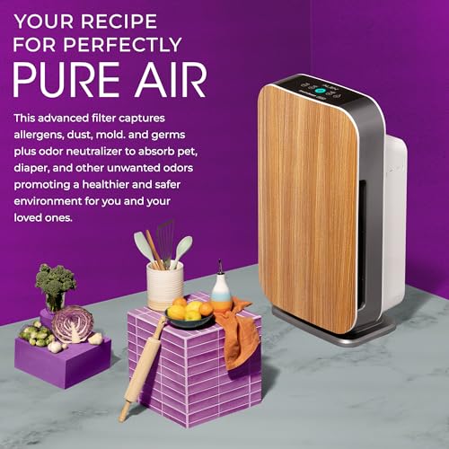 Air Purifier for Allergies: Alen BreatheSmart Flex HEPA - Image 3