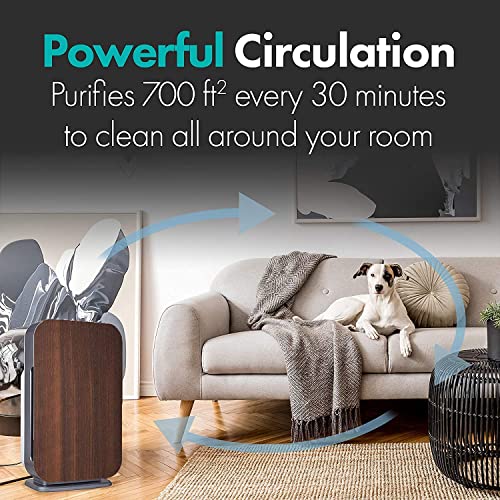 Air Purifier for Mold: Alen BreatheSmart Flex HEPA 1400 Sq. Ft. - Image 4