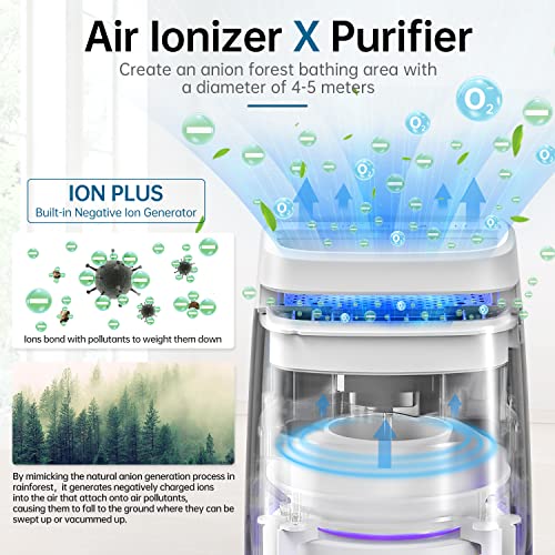 Air Purifier for Hayfever: POMORON 4-in-1 Air Cleaner - Image 2