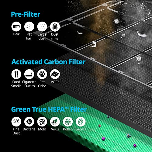 Air Purifier for Cat Allergies: Coway Airmega 240 Review - Image 2