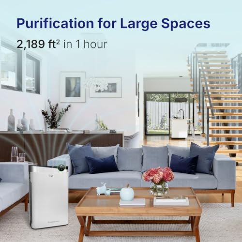 Air Purifier for Smoke: RIA BreezeGuard 2-in-1 Humidifier - Image 2