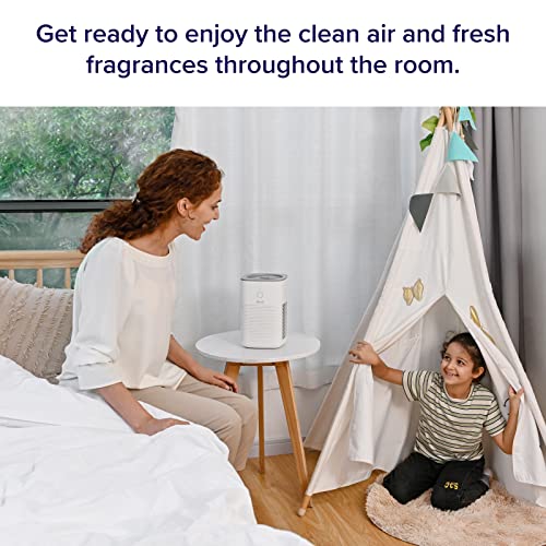 Air Purifier for Smoke: LEVOIT for Large & Small Rooms - Image 2