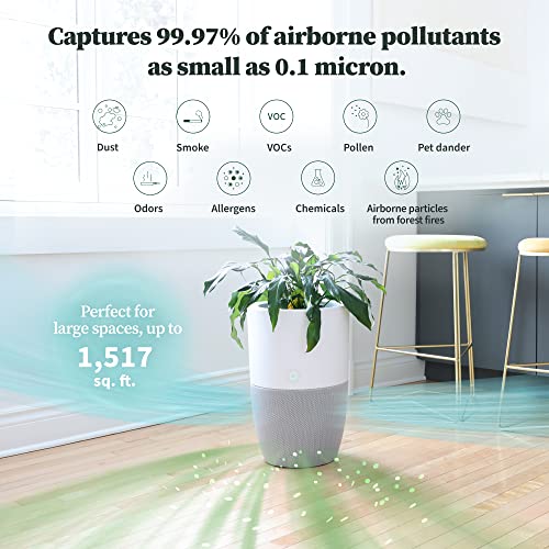 Air Purifier for Home | Dupray Bloom™ with Planter Design - Image 3