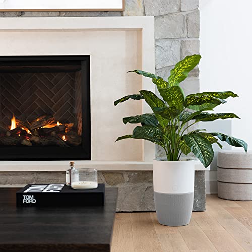 Air Purifier for Home | Dupray Bloom™ with Planter Design - Image 6