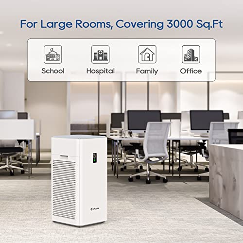 Air Purifier for Dust: Lifubide HEPA, Low Noise, Large Room - Image 2
