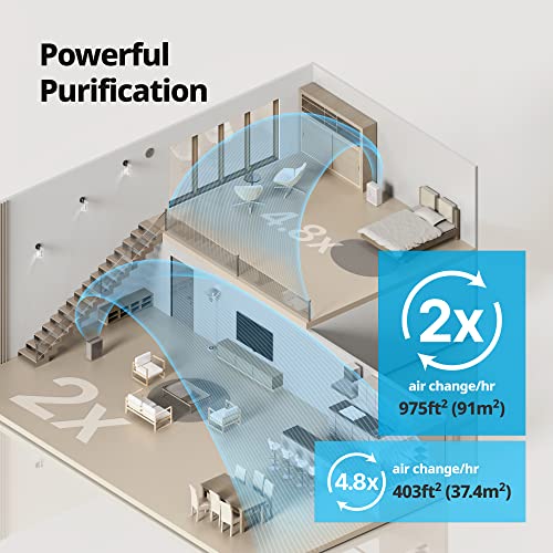 Air Purifier for Smoke: Coway Airmega 240 with HEPA Filter - Image 2