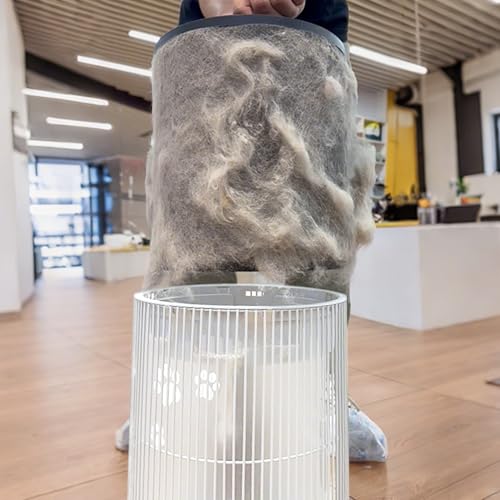 Air Purifier for Cat Allergies - WiseSky HEPA Filter 3-in-1 - Image 2