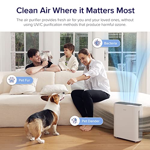 Air Purifier for Allergies - LEVOIT H13 HEPA Filter Cleaner - Image 3