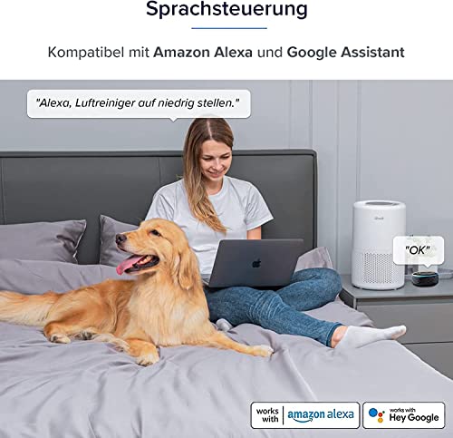 Air Purifier for Allergies: LEVOIT for Home & Bedroom - Image 5