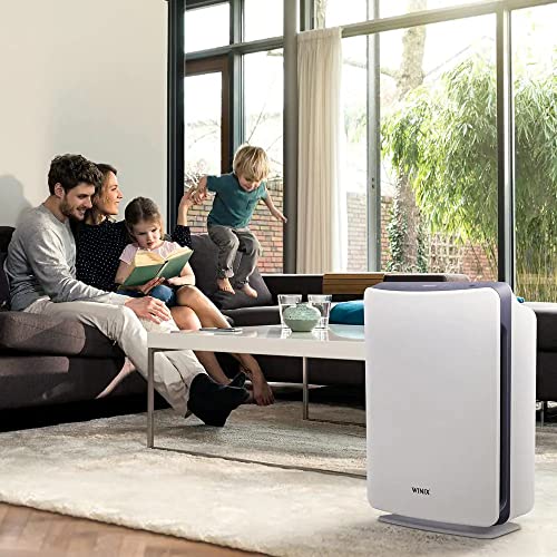 Best Air Purifier for Pets: Winix D480 HEPA 3-Stage 480 sq ft - Image 3