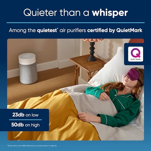 Air Purifier for Bedroom: BLUEAIR Bundle for Large Homes - Image 2