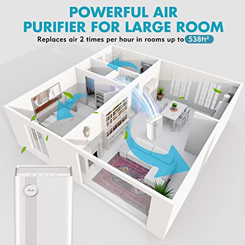 Air Purifier for Hayfever Relief in Large Rooms Up to 1076 Sq. Ft. - Image 3