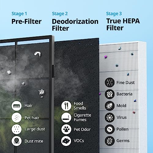 Air Purifier for Cat Allergies: Coway Airmega AP-1512HHS - Image 3