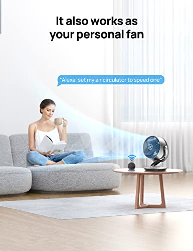 Air Purifier for Mold: Dreo HEPA Fan for Large Rooms - Image 5