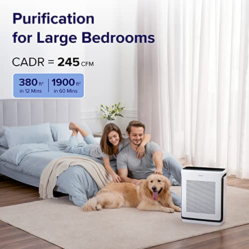 Air Purifier for Allergies: LEVOIT True HEPA for Large Rooms - Image 2