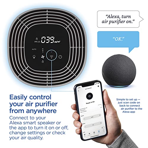 Best Air Purifier for Pets: Clorox Smart HEPA Filter - Image 3