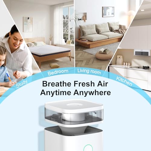 "Quiet 2-in-1 Air Purifier & Humidifier | H13 HEPA, 60㎡" - Image 7