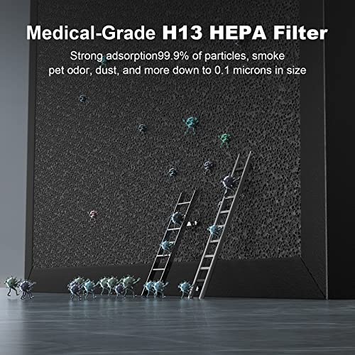 Air Purifier for Mold: HEPA Filter for Large Rooms, 99.9% Clean - Image 3