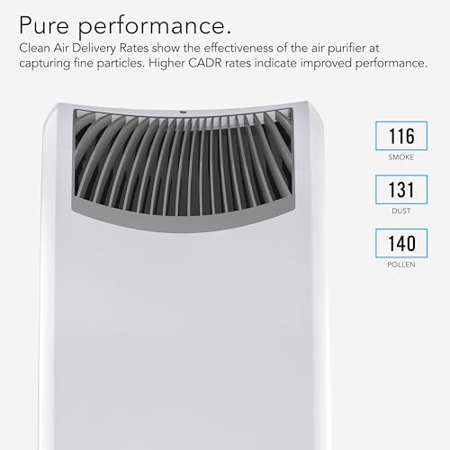 Air Purifier for Cat Allergies: Vornado AC550 HEPA Filter - Image 3