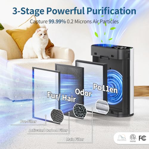 Best Air Purifier for Home: ECOSELF for Large Rooms & Pets - Image 3