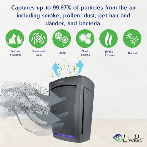 Air Purifier for Mold: LivePure Bali HEPA Cleans 2,640 sq. ft. - Image 3