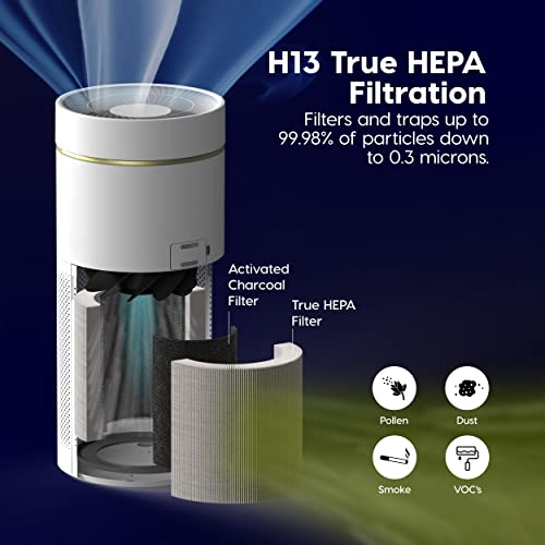 Air Purifier for Cat Allergies: IRIS USA WOOZOO True HEPA - Image 3