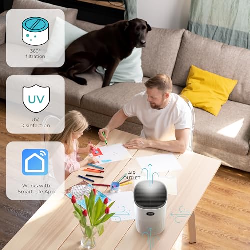 Air Purifier for Smoke: Verapure VP-300-WI HEPA Purifier - Image 3