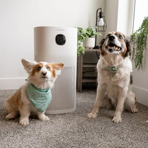 Air Purifier for Smoke: Verapure VP-300-WI HEPA Purifier - Image 8