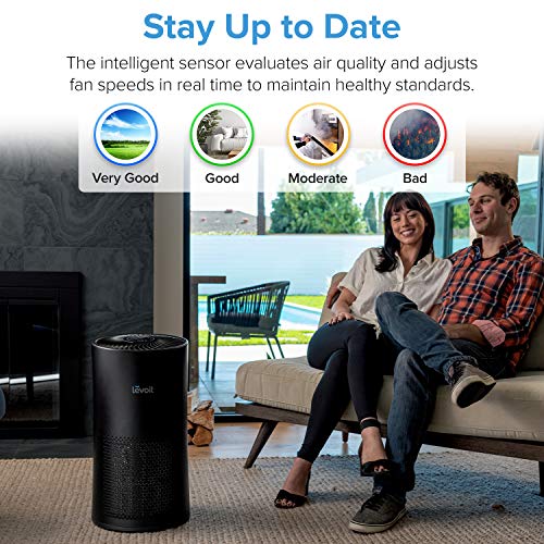 Air Purifier for Cat Allergies: LEVOIT LV-H133 for Large Rooms - Image 2