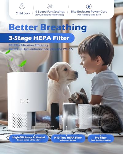 Air Purifier for Cat Allergies - H13 HEPA, Quiet & Smart - Image 3