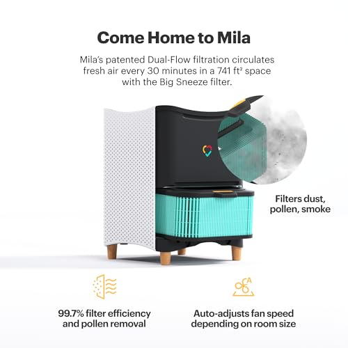 Air Purifier for Allergies: Mila Air Mini with HEPA Filter - Image 2
