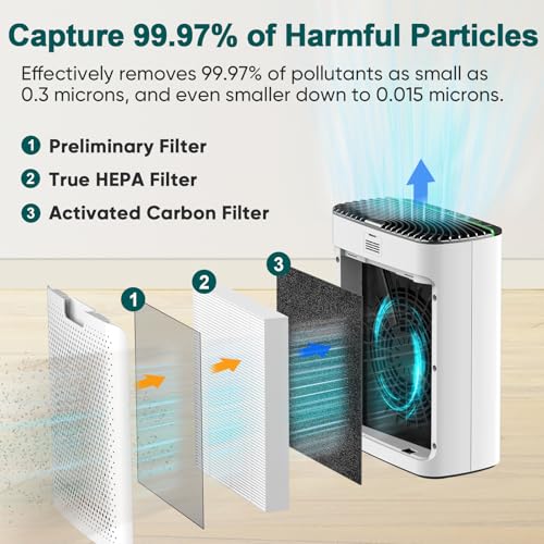 Air Purifier for Smoke – True HEPA 13, Large Room, Quiet - Image 3