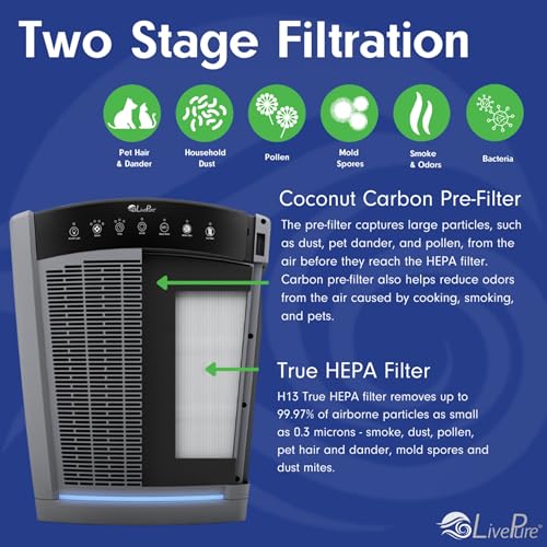 Air Purifier for Mold: LivePure Bali Whole House Console - Image 2