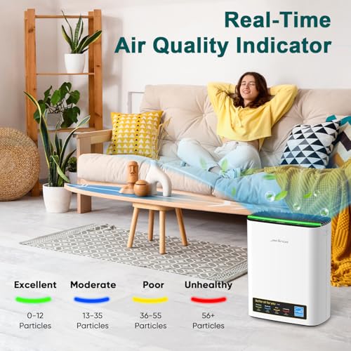 Air Purifier for Allergies: Jafända HEPA Cleaner for Large Rooms - Image 3