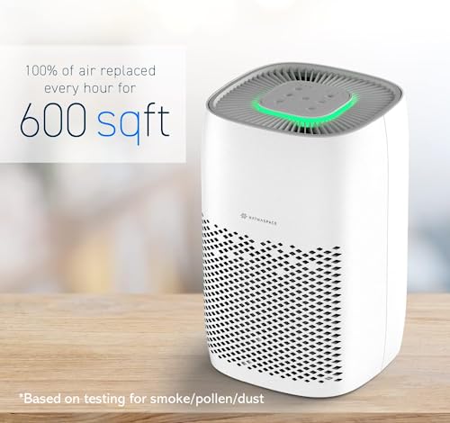 Air Purifier for Mold - HATHASPACE 1-700sqft Plus Harmony 600 - Image 3