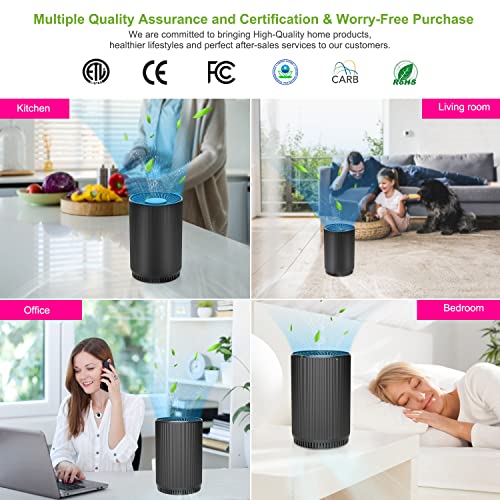 Air Purifier for Hayfever: Druiap H13 HEPA Set for Home - Image 2