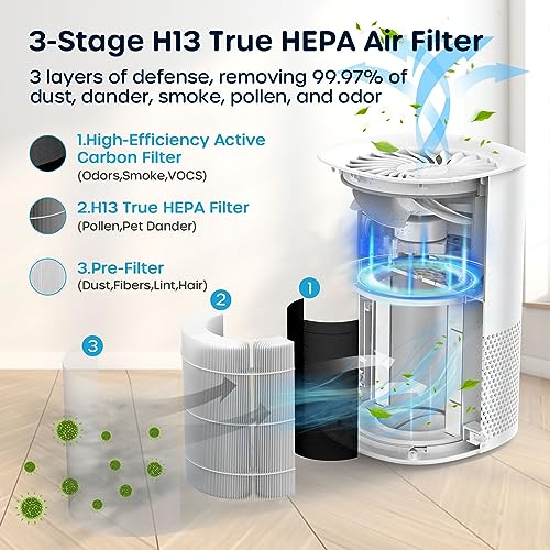 Air Purifier for Smoke & Allergies: ECOWELL H13 HEPA Bundle - Image 6