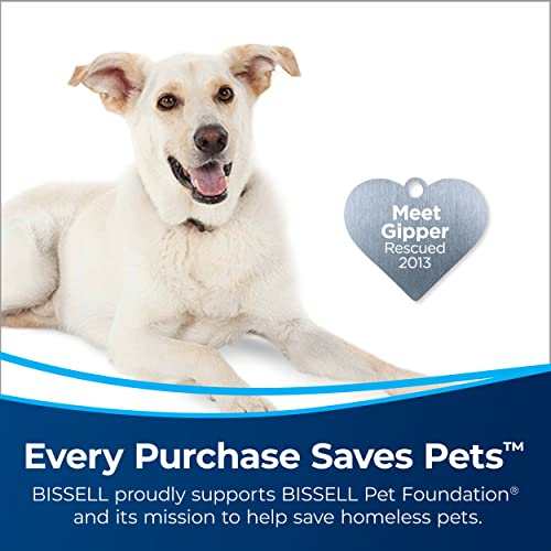 Best Air Purifier for Home: BISSELL® air280 HEPA & Carbon - Image 4