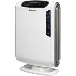 AeraMax DX55: Top Air Purifier for Dust Removal