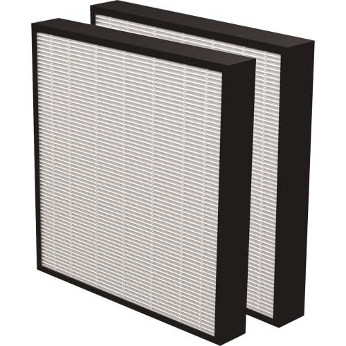 AeraMax PRO True HEPA 2" Air Purifier for Clean Air