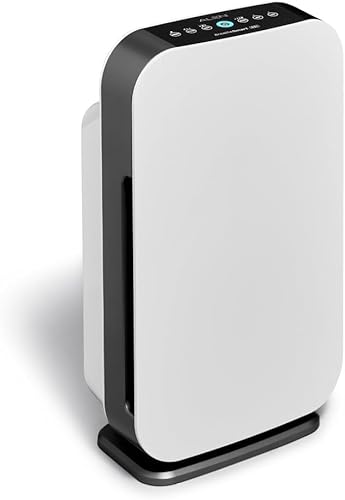 Air Purifier for Allergies: Alen BreatheSmart 35i HEPA Filter