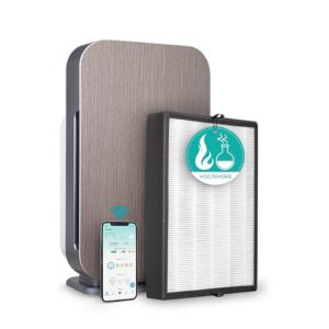 Air Purifier for Allergies: Alen BreatheSmart 45i HEPA